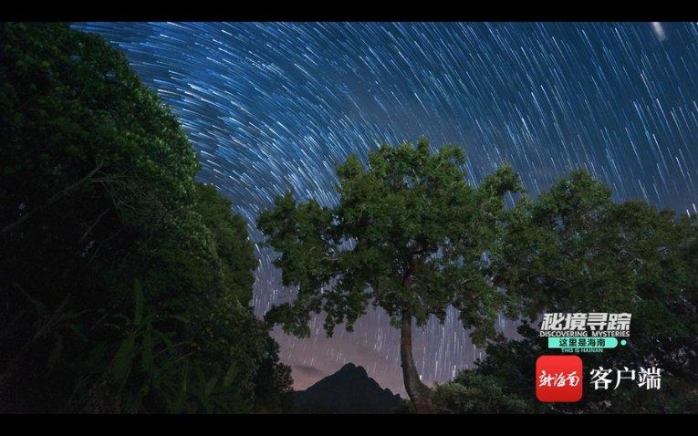 月光影视