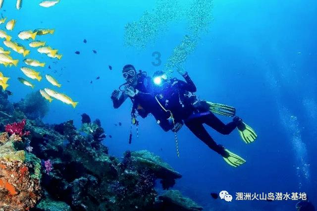 小猫钓鱼开船版最新版下载