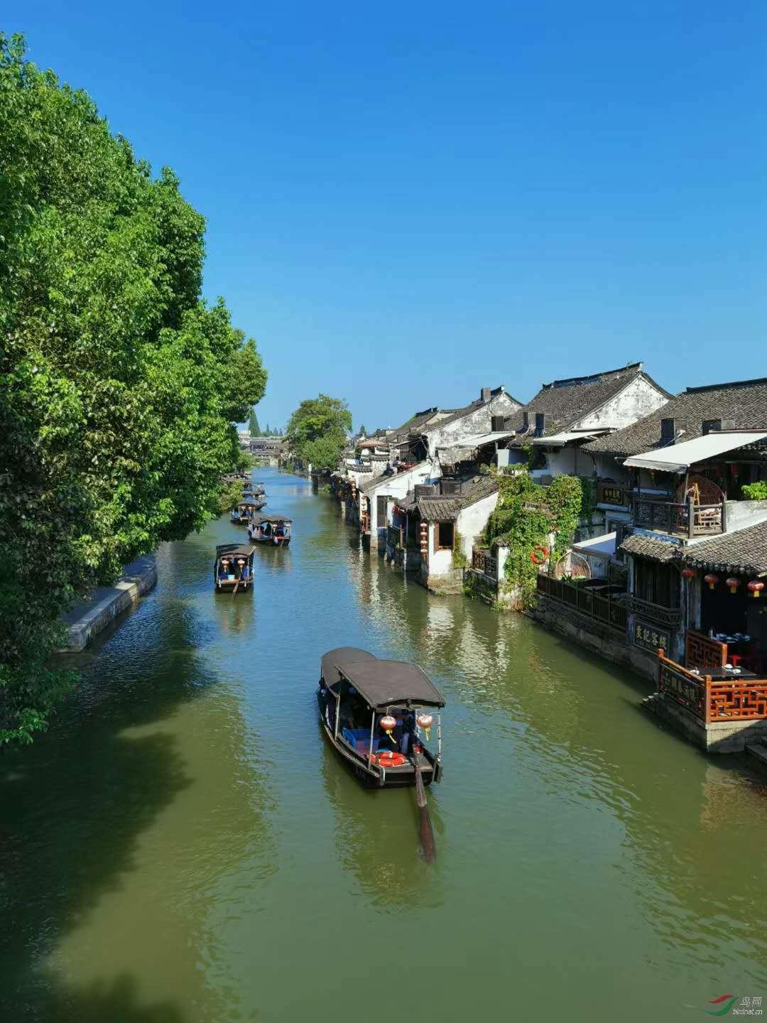 动物帮帮忙保卫家园